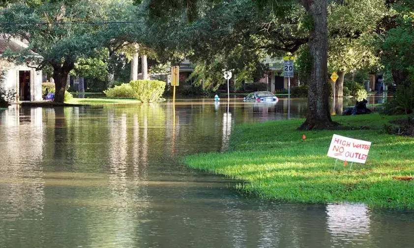 Hurricane Preparedness Guide